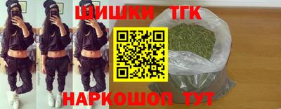 тгк Славгород