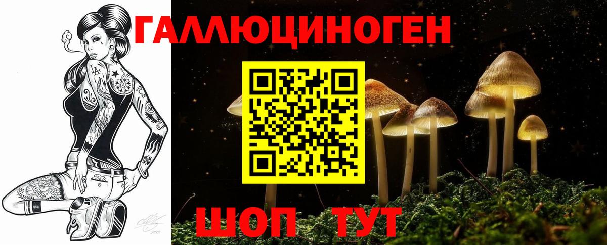 Псилоцибиновые грибы Psilocybe  Псилоцибиновые грибы Cubensis  Орёл  Вход с VPN 