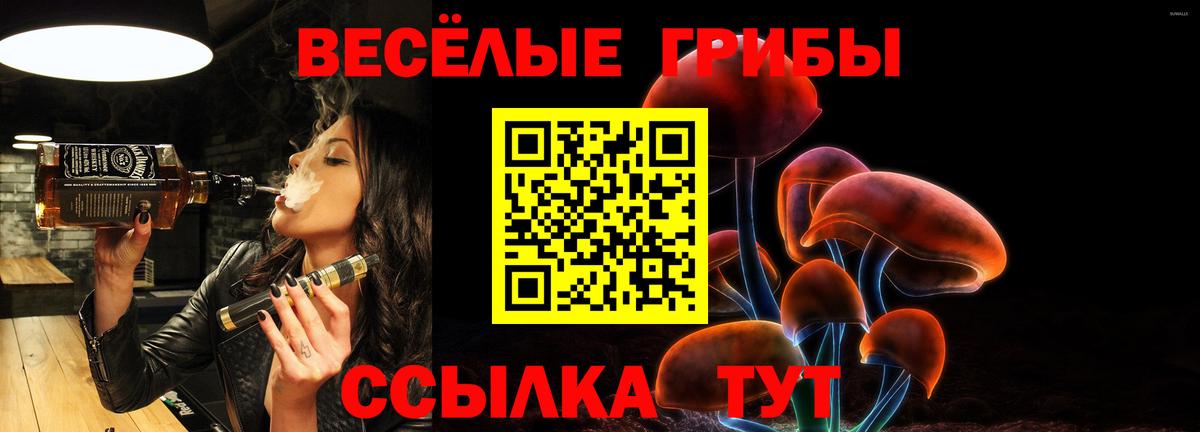 Псилоцибиновые грибы Cubensis Орёл